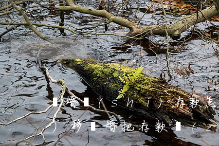 離婚時(shí)存款怎么轉(zhuǎn)移(離婚 把存款轉(zhuǎn)移 但流水上看的到怎么辦)