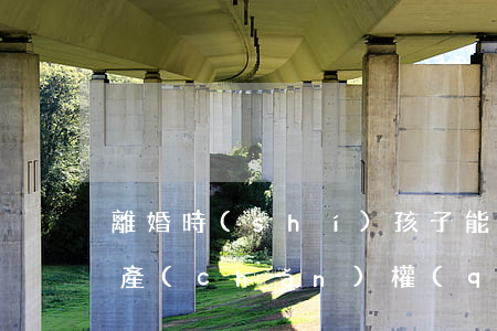 離婚時(shí)孩子能繼承財(cái)產(chǎn)權(quán)嗎(離婚的孩子可以繼承財(cái)產(chǎn)嗎)