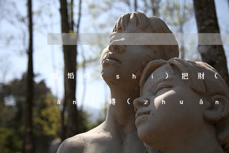 離婚時(shí)把財(cái)產(chǎn)轉(zhuǎn)移了該怎么追回(離婚時(shí)把財(cái)產(chǎn)轉(zhuǎn)移了該怎么追回)