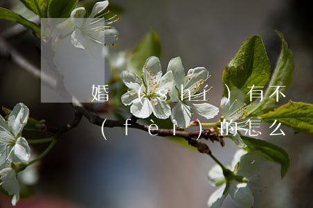 離婚時(shí)有不給撫養(yǎng)費(fèi)的怎么辦