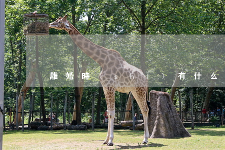 離婚時(shí)有什么病不判離