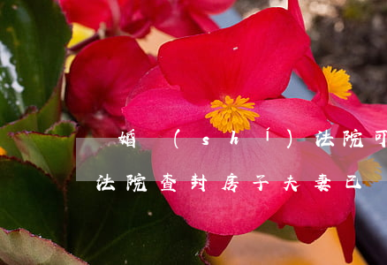 離婚時(shí)法院可以查封所有賬戶嗎(法院查封房子夫妻已經(jīng)離婚)