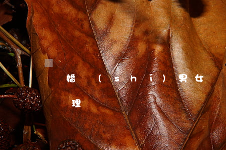 離婚時(shí)男女雙方都想要孩子如何處理