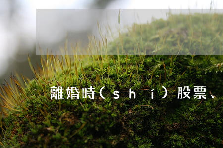 離婚時(shí)，股票、債券如何劃分
