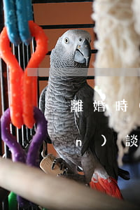 離婚時(shí)財(cái)產(chǎn)談不妥怎么離(離婚時(shí)財(cái)產(chǎn)談不妥怎么離)