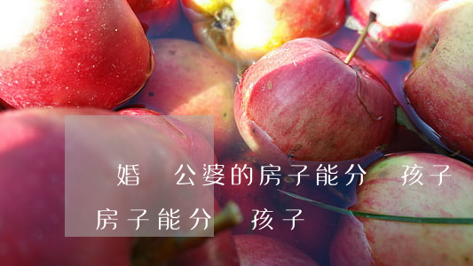 離婚時公婆的房子能分給孩子嗎(父母離婚后房子能分給孩子嗎)
