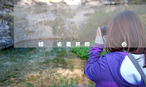 離婚時夫妻共同債務應由誰舉證