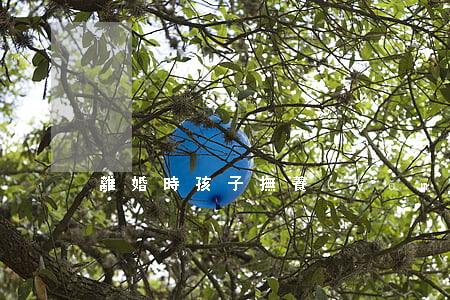 離婚時孩子撫養(yǎng)費