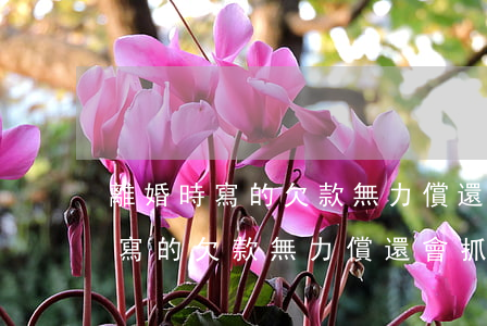 離婚時寫的欠款無力償還會抓人嗎-離婚時寫的欠款無力償還會抓人嗎合法嗎