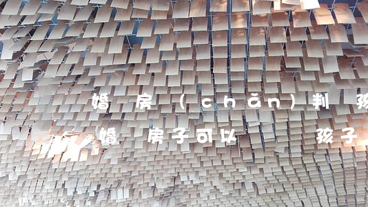 離婚時房產(chǎn)判給孩子有風險嗎(離婚時房子可以過戶給孩子嗎 有什么風險)