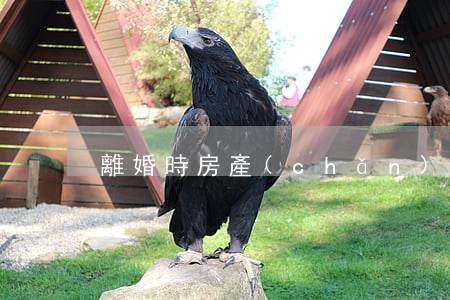 離婚時房產(chǎn)如何分配