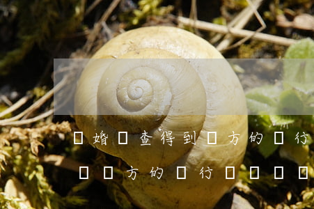 離婚時查得到對方的銀行賬戶(離婚時可以查詢對方的銀行賬記錄嗎)