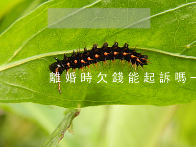 離婚時欠錢能起訴嗎-離婚欠錢怎么處理