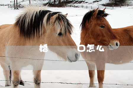 離婚時沒戶口怎么辦