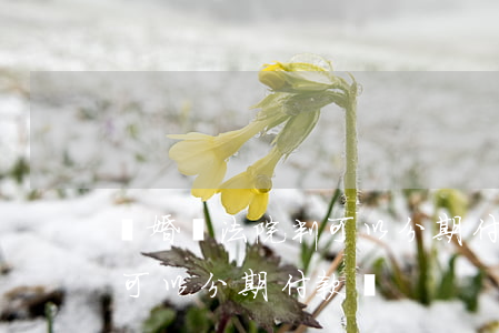 離婚時法院判可以分期付款嗎(法院判決賠償可以分期付款嗎)