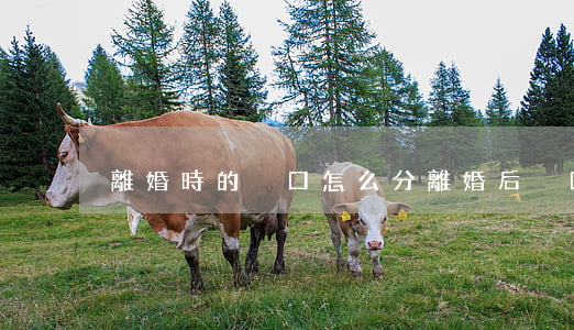 離婚時的戶口怎么分(離婚后戶口如何拆分)