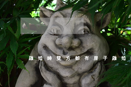 離婚時雙方都有房子(離婚時雙方都有房子)