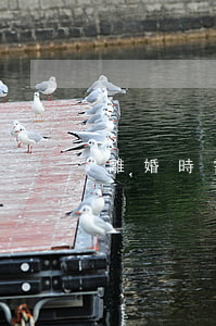 離婚時需要帶什么證件