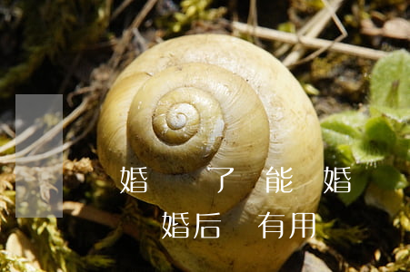 離婚書沒了還能離婚嗎(離婚協(xié)議書離婚后還有用嗎)