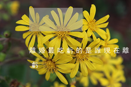 離婚最吃虧的是誰(現在離婚是不是都是女生虧)