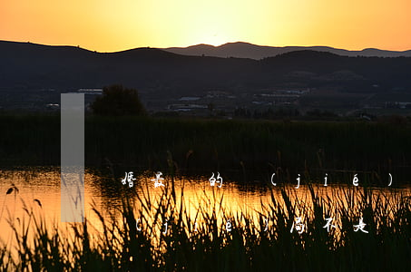 離婚最壞的結(jié)果是(婚姻中最壞的結(jié)局不是離婚)