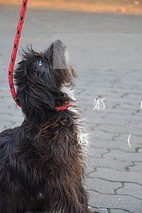 離婚會(huì)查個(gè)人隱私嗎(離婚會(huì)查個(gè)人賬戶嗎)