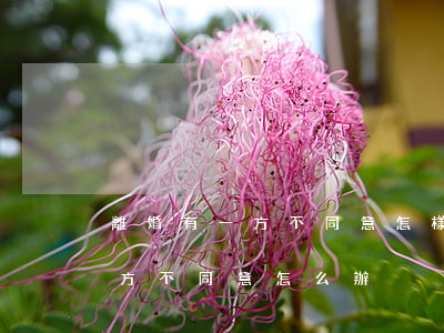 離婚有一方不同意怎樣才能離婚(夫妻離婚一方不同意怎么辦)