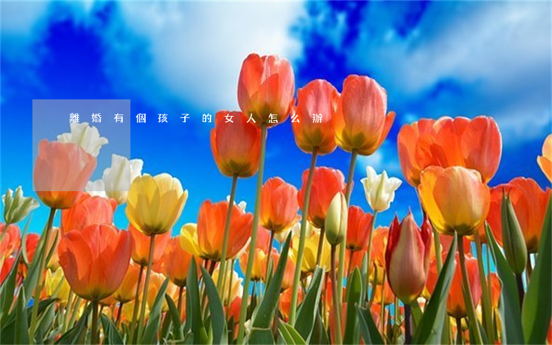 離婚有個孩子的女人怎么辦