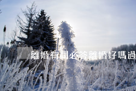 離婚有問必答(離婚好嗎?過來人解答)