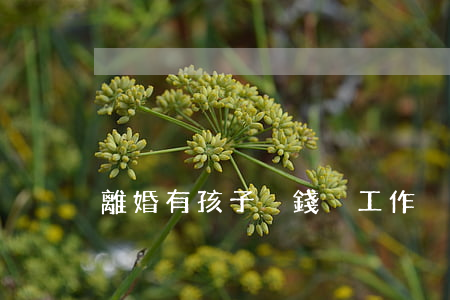 離婚有孩子沒錢沒工作(沒有錢離婚都離不起)
