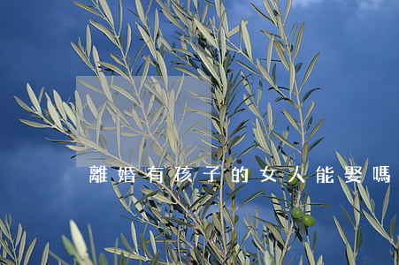 離婚有孩子的女人能娶嗎