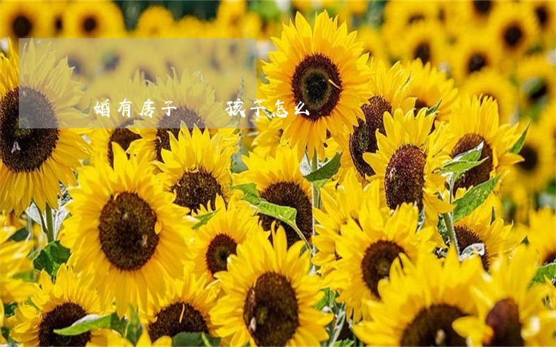 離婚有房子兩個孩子怎么辦
