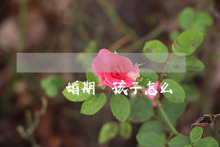 離婚期間孩子怎么辦