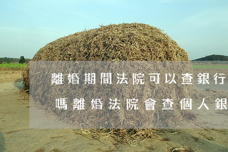 離婚期間法院可以查銀行財產(chǎn)嗎(離婚法院會查個人銀行賬戶嗎)