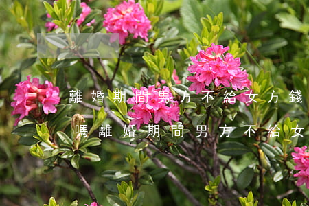 離婚期間男方不給女方錢(qián)違法嗎(離婚期間男方不給女方錢(qián)違法嗎)