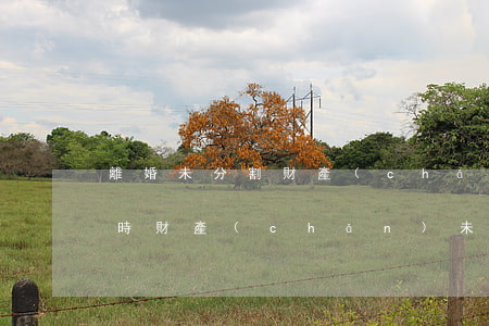 離婚未分割財產(chǎn)如何繼承(離婚時財產(chǎn)未分割 以后還能分割嗎)