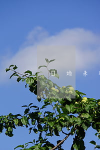 離婚未取得所有房子怎么辦