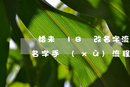 離婚未滿18歲改名字流程(17歲未成年改名字手續(xù)流程)