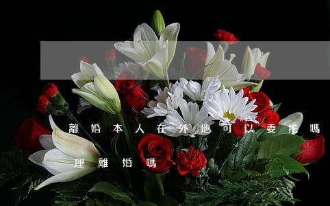 離婚本人在外地可以委托嗎(人在外地可以辦理離婚嗎)