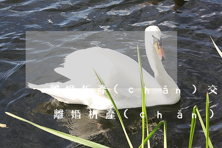 離婚析產(chǎn)交易費(fèi)用(離婚析產(chǎn)交易費(fèi)用)