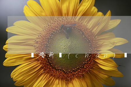離婚析產(chǎn)單怎么辦