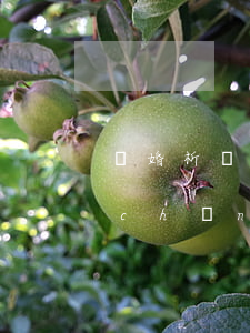 離婚析產(chǎn)房子證件(離婚析產(chǎn)辦理的房產(chǎn)證屬于新證嗎)