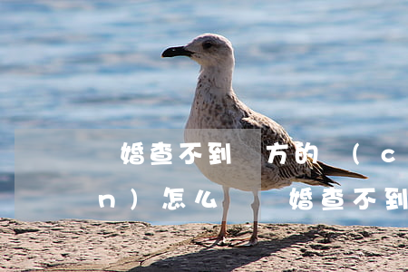 離婚查不到對方的財(cái)產(chǎn)怎么辦(離婚查不到對方的財(cái)產(chǎn)怎么辦)