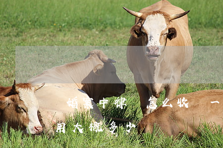離婚案中律師怎么收費(一般離婚案的律師費用大概多少)