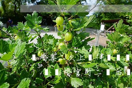 離婚案二次上訴律師還負(fù)責(zé)嗎(離婚官司二審后還可以上訴嗎)