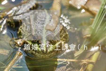 離婚案件上訴會(huì)駁回嗎
