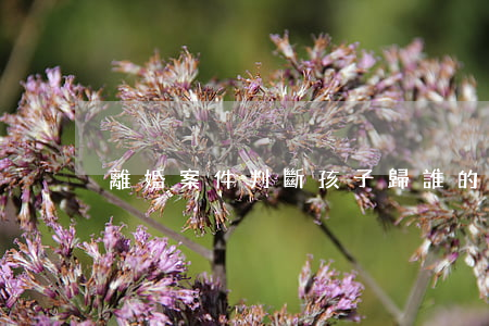 離婚案件判斷“孩子歸誰”的10個法律要點