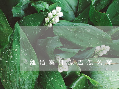 離婚案件原告怎么辦