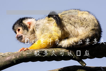 離婚案件受理以后要多久開庭(離婚起訴案件一般多久可以開庭?)