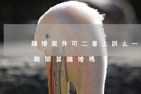 離婚案件可二審上訴么(一審判離婚二審上訴期間算離婚嗎)